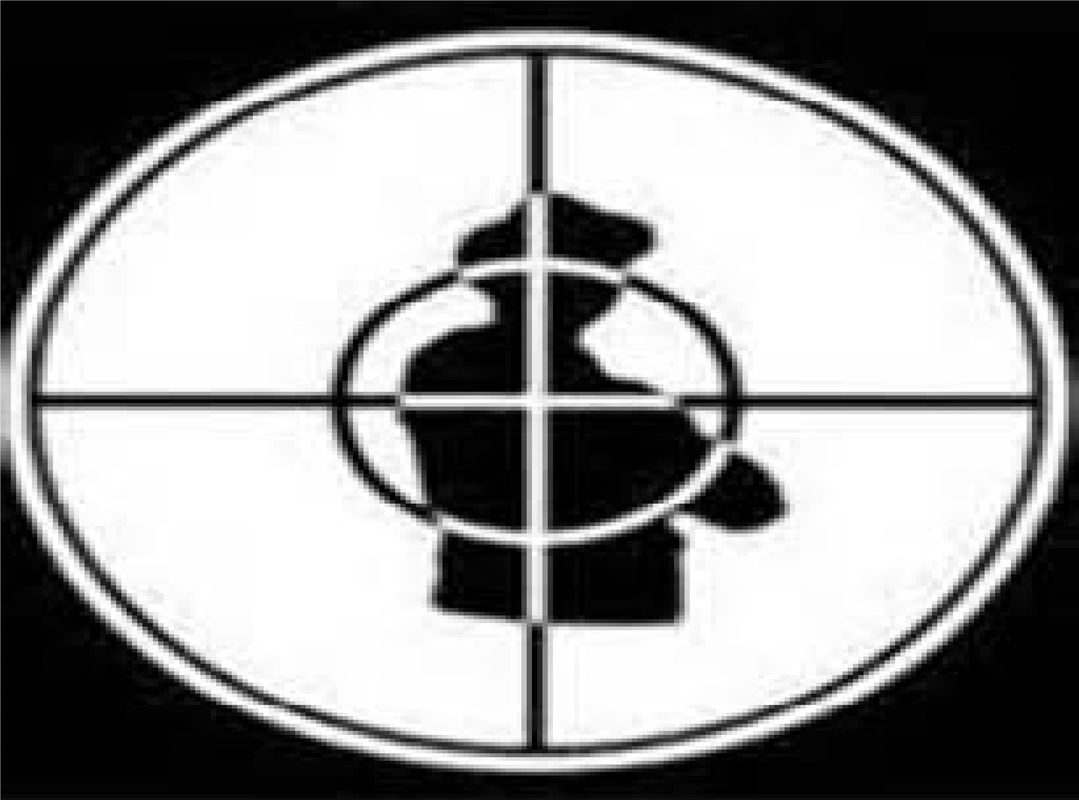 Crosshairs Crosshairs