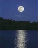 A Winter Moon