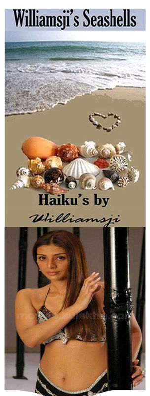 Seashells: Williamsji Maveli&#039;s Haiku Poems