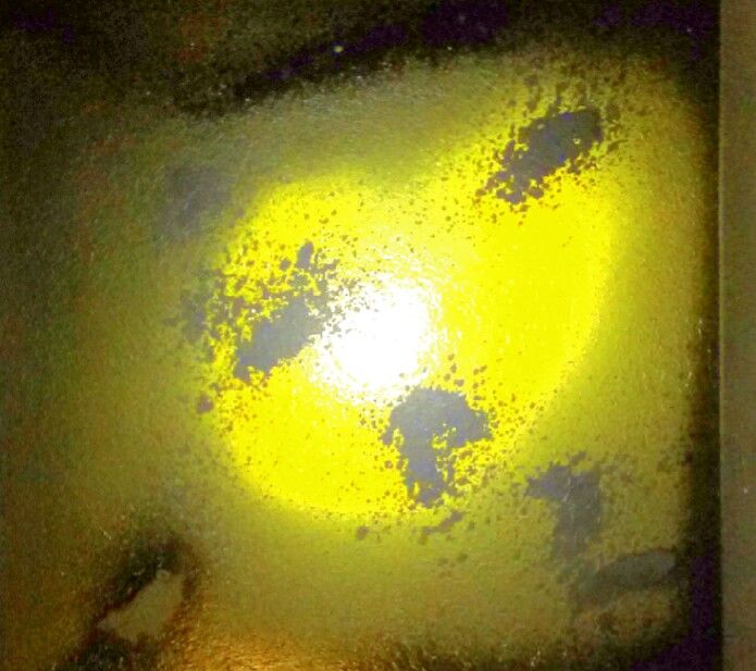 midnight moon dance