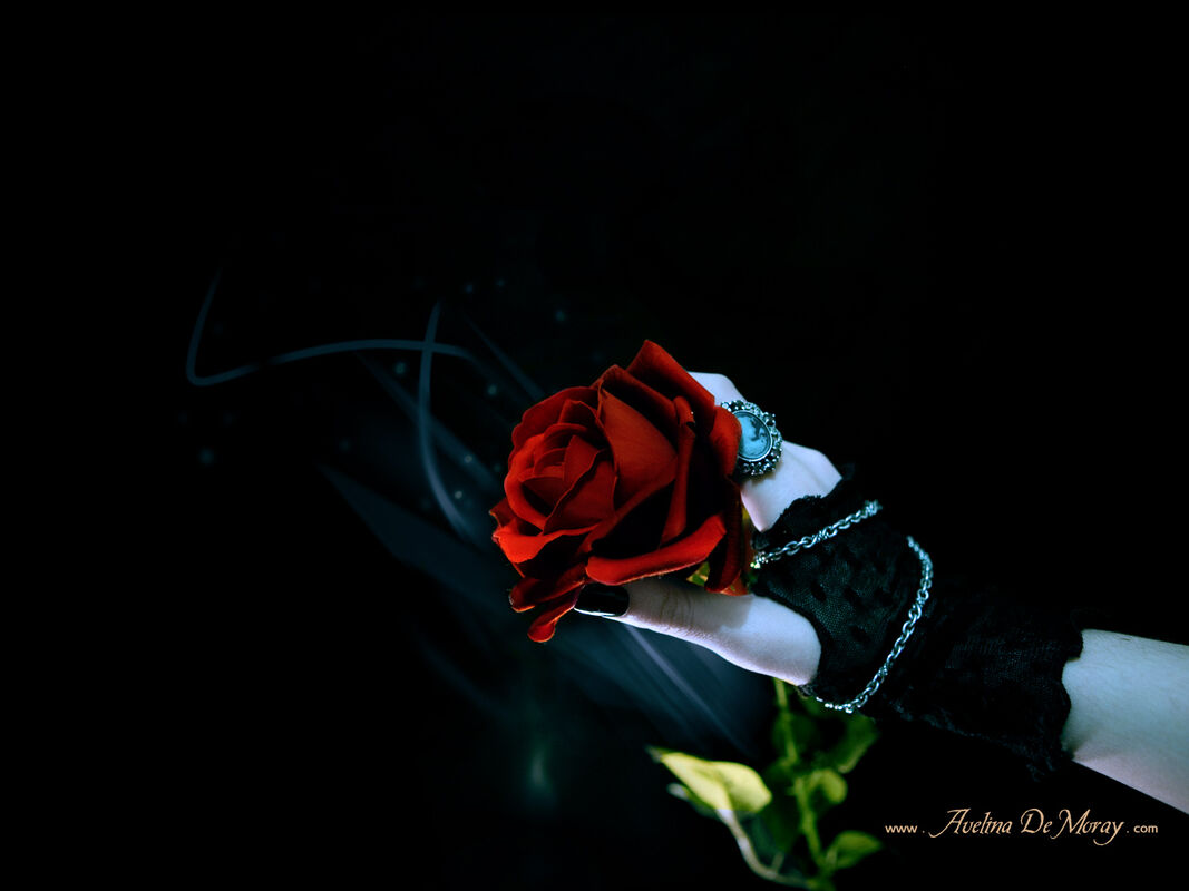 Rest in peace my dear friend... Rest in peace my dear friend...