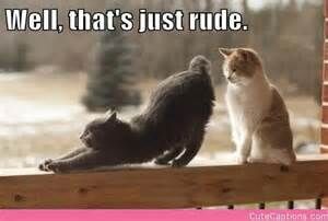 JUST ..PLAIN RUDE !?X JUST ..PLAIN RUDE !?X