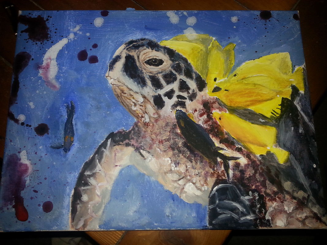 Sea Turtle