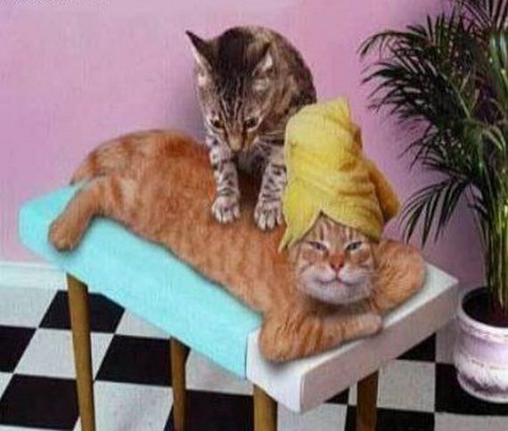 PUSSY PARLOR !?X PUSSY PARLOR !?X