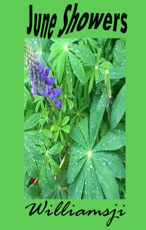 JUNE SHOWERS: DAY 27 BY WILLIAMSJI MAVELI JUNE SHOWERS: DAY 27 BY WILLIAMSJI MAVELI