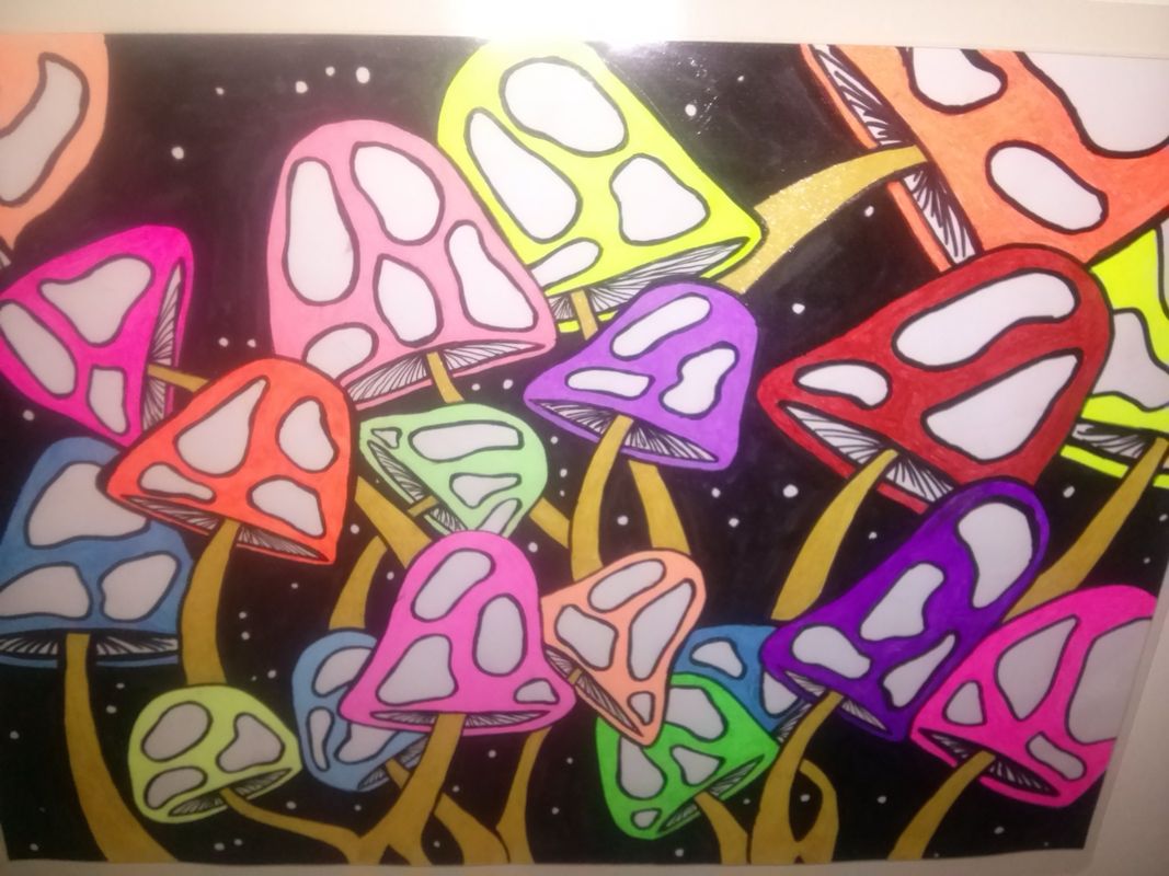 MORE MUSHROOMS