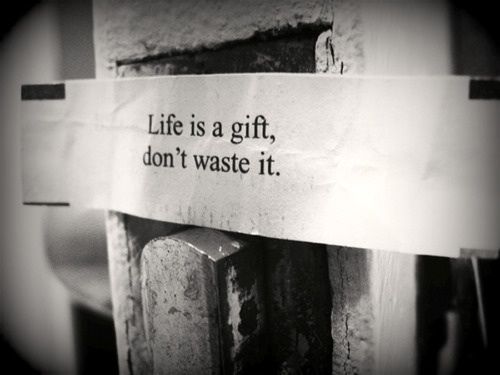Live Life Right Live Life Right