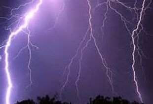 Wild Thunder Wild Thunder