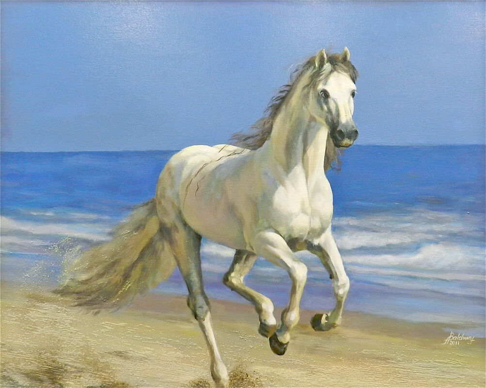  White horse. 