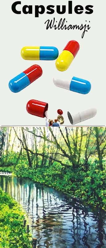 CAPSULES: 14 " Cross the stream where it is the shallowest " CAPSULES: 14 " Cross the stream where it is the shallowest "