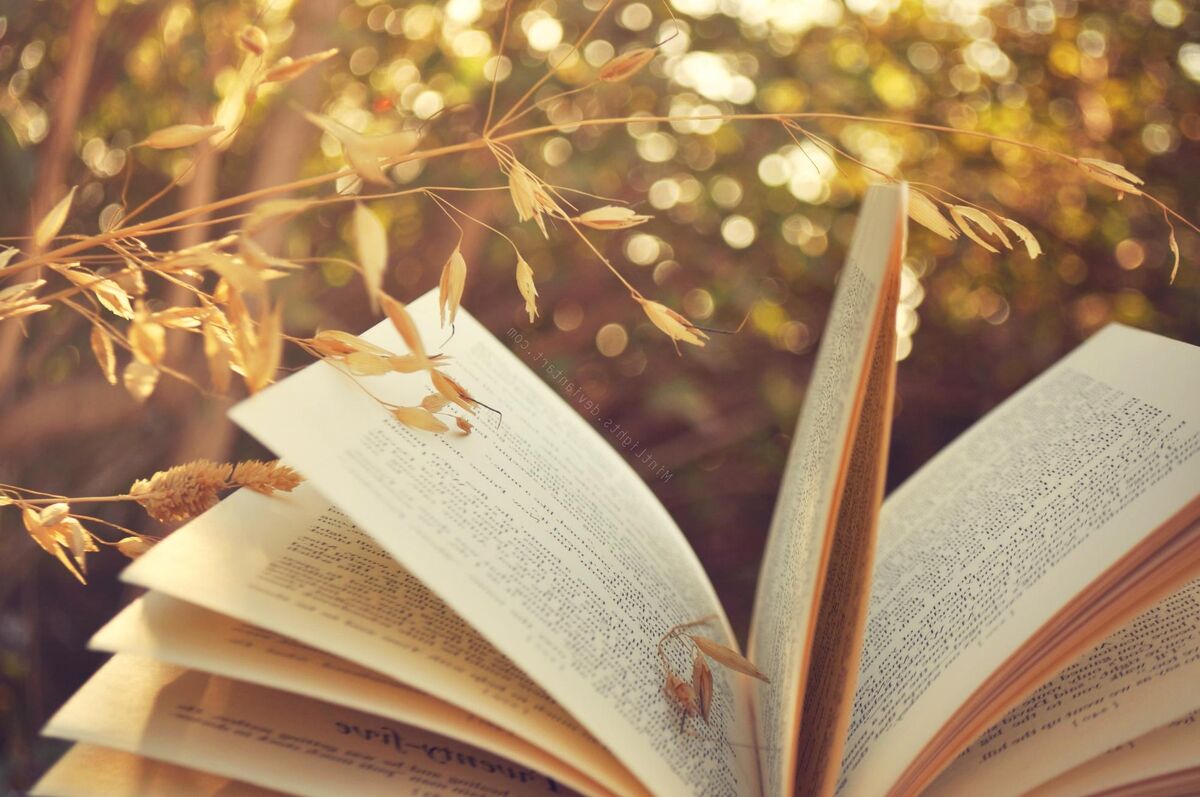 Loving you is Fiction Loving you is Fiction