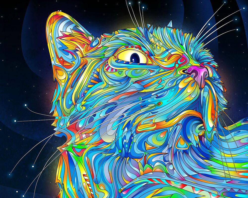 CONTENT KITTY..!