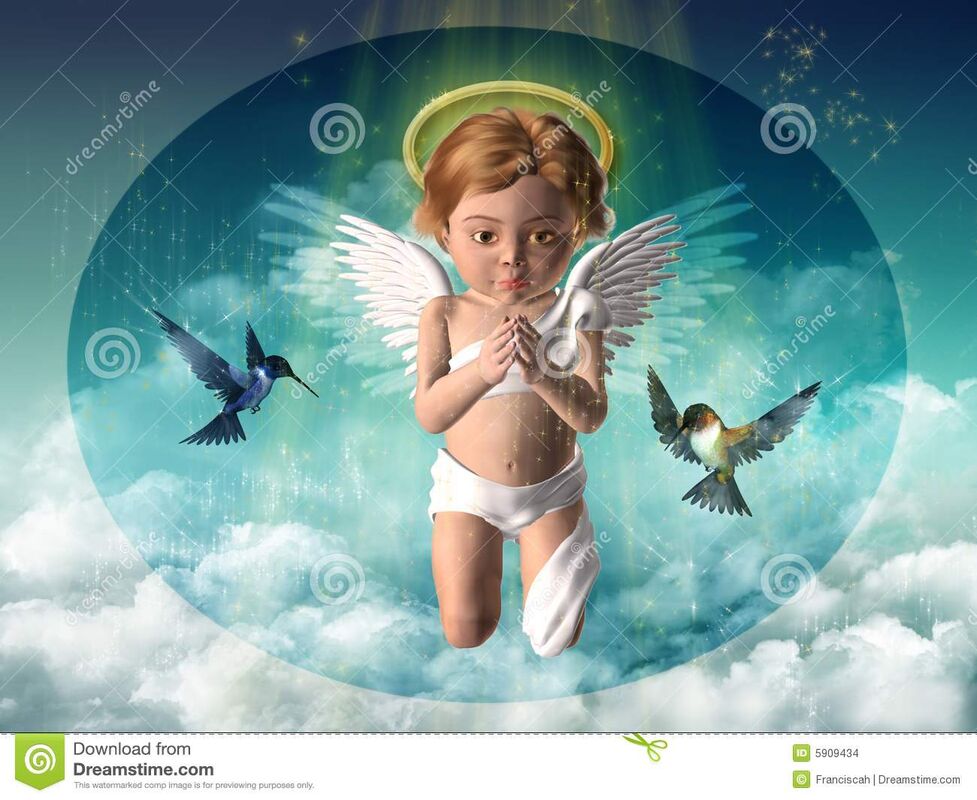 THE IMMACULATE..! THE IMMACULATE..!