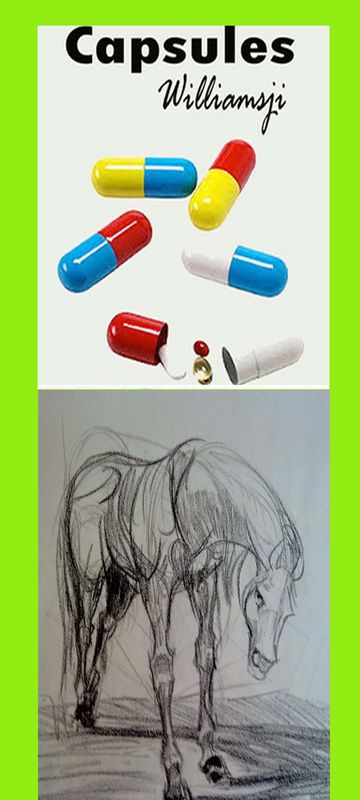 CAPSULES: 15 "All lay load on a willing horse" CAPSULES: 15 "All lay load on a willing horse"