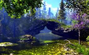 Bridge of Nature...