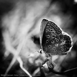 When We Think Of Nature..
