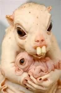 PRAY FOR HIM !?X PRAY FOR HIM !?X