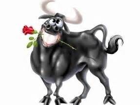 BULLSHEX