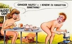 GINGER NUT,S !?X