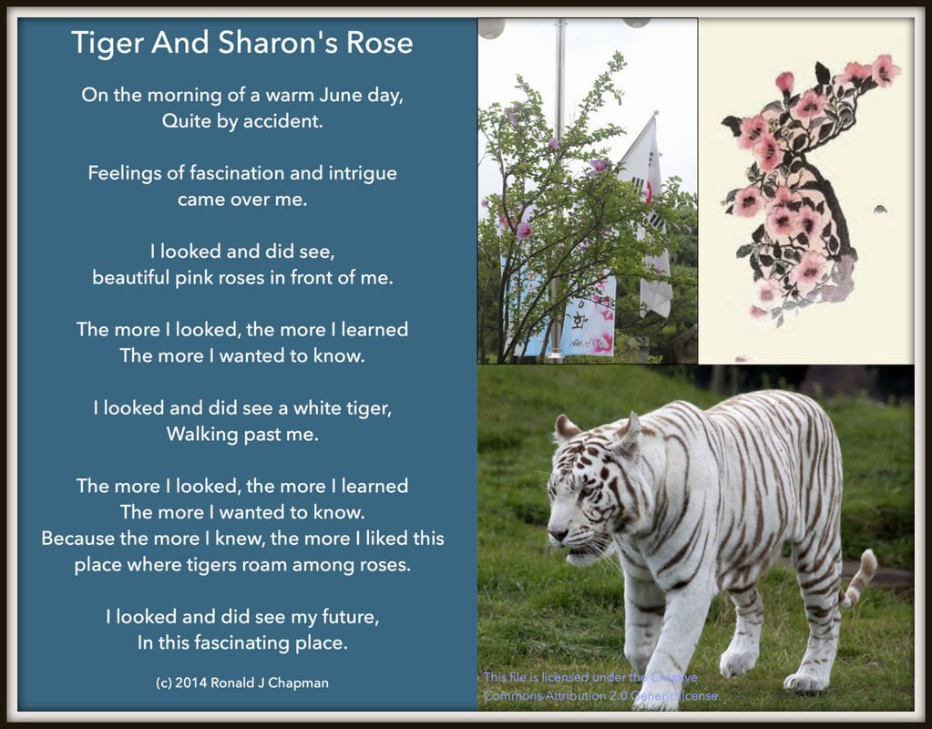 Tiger And Sharon's Rose Tiger And Sharon's Rose