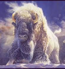 Buffalo  Wise Man Of Time