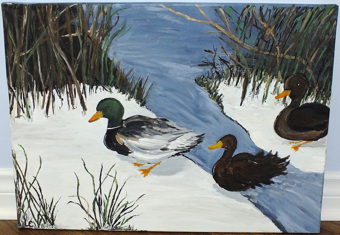 winter ducks