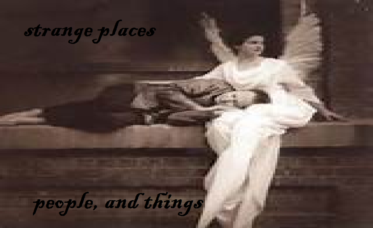 The people, places, and strange things The people, places, and strange things