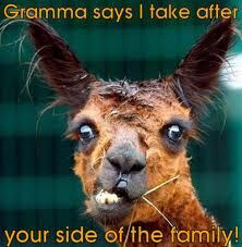 GA-GA GRANMA GA-GA GRANMA