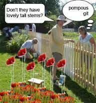 PRETTY PETAL SYNDROME.... PRETTY PETAL SYNDROME....