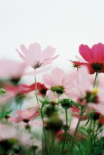 Although You Are Simple Although You Are Simple