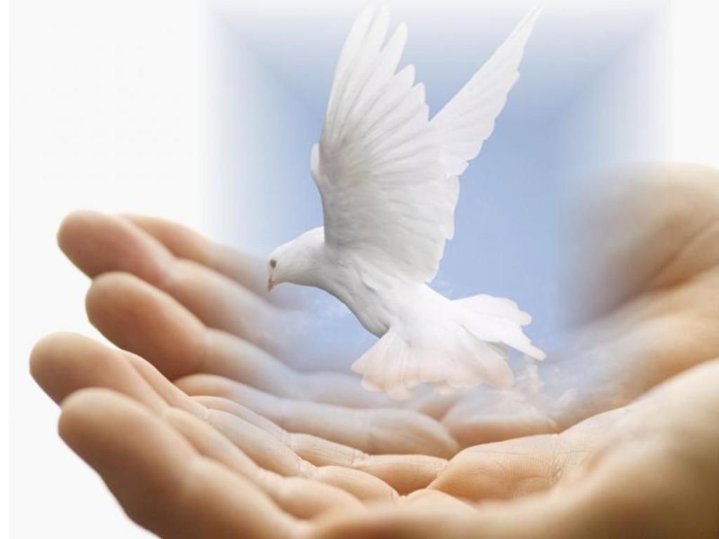 THE POWER OF YOUR HEALING HAND LORD