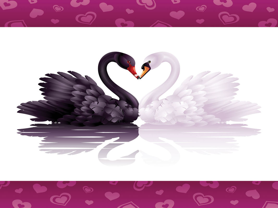 SWAN SONG...