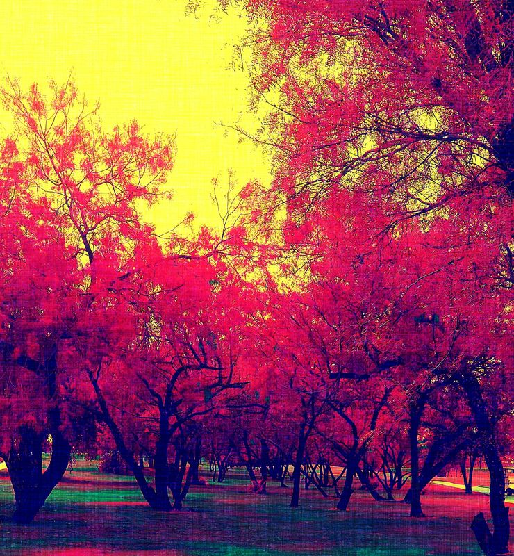 Sunday walk