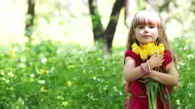 HOW FLOWERS GET THEIR POWERS HOW FLOWERS GET THEIR POWERS