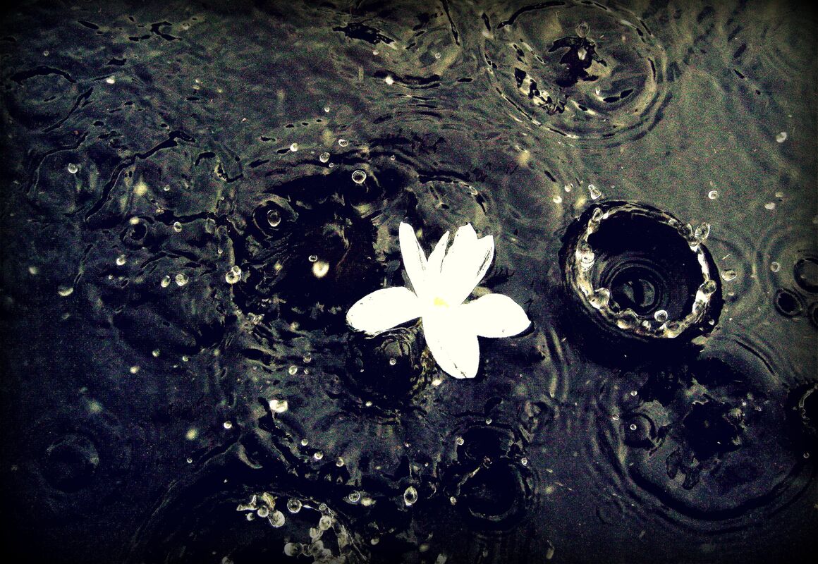 All That You Despise 