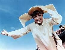 The Flying Nun Flies No More The Flying Nun Flies No More
