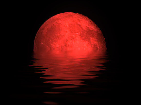 Red Moon Calls Red Moon Calls