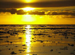 Within Your Rays Within Your Rays