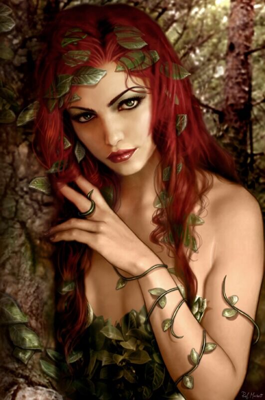 THE ENVY OF IVY THE ENVY OF IVY
