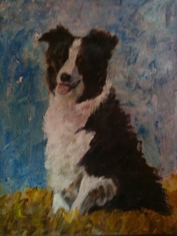 Sitting collie