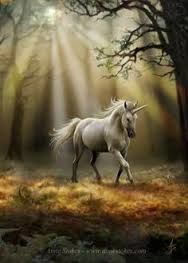 " Heavens UNICORN " " Heavens UNICORN "