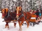 A Winters Scene A Winters Scene