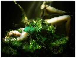 " The Whisper In The Treetops " " The Whisper In The Treetops "