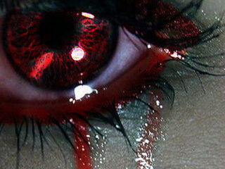 Wicked Love Wicked Love
