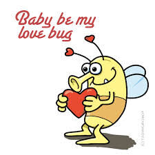 THE LOVE BUG !?X THE LOVE BUG !?X