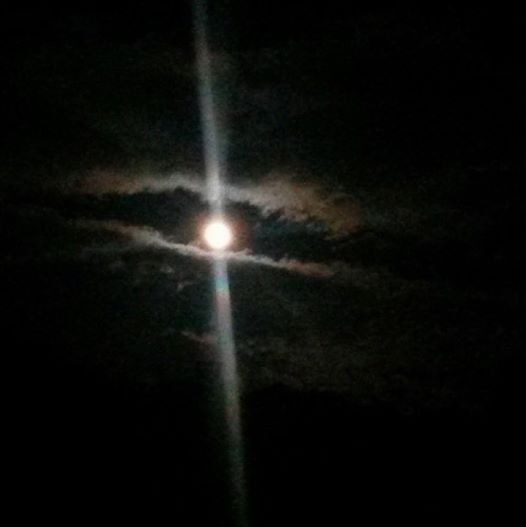 Mystic Moon Mystic Moon