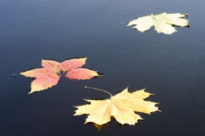 on the surface-Part II