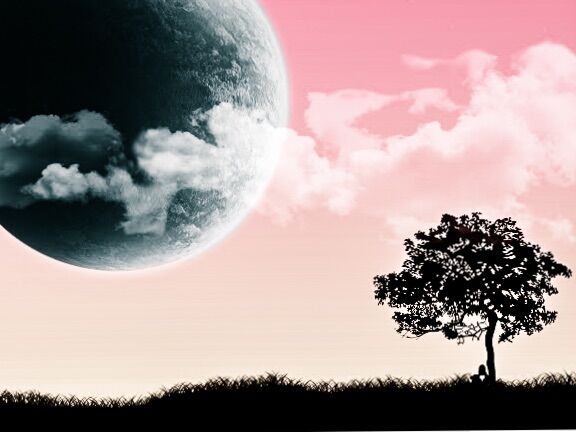 After Life's Reality After Life's Reality