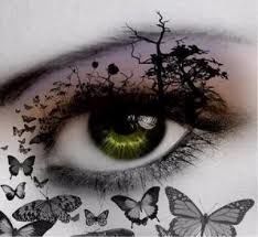 BUTTERFLIES CRIES.. BUTTERFLIES CRIES..