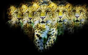 "The Jaguars Come Softly" "The Jaguars Come Softly"